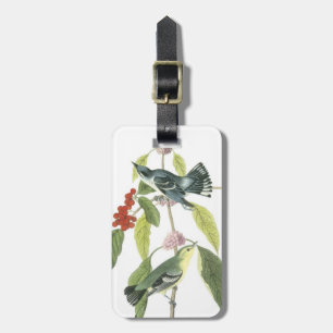 Étiquette À Bagage oiseaux vintages sur une branche...étiquette de ba