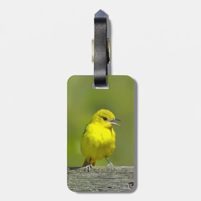 Étiquette À Bagage Orchard Oriole - Photo originale (Dos Vertical)
