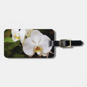 Étiquette À Bagage Orchidée Lune Blanche (Phalaenopsis Aphrodite)