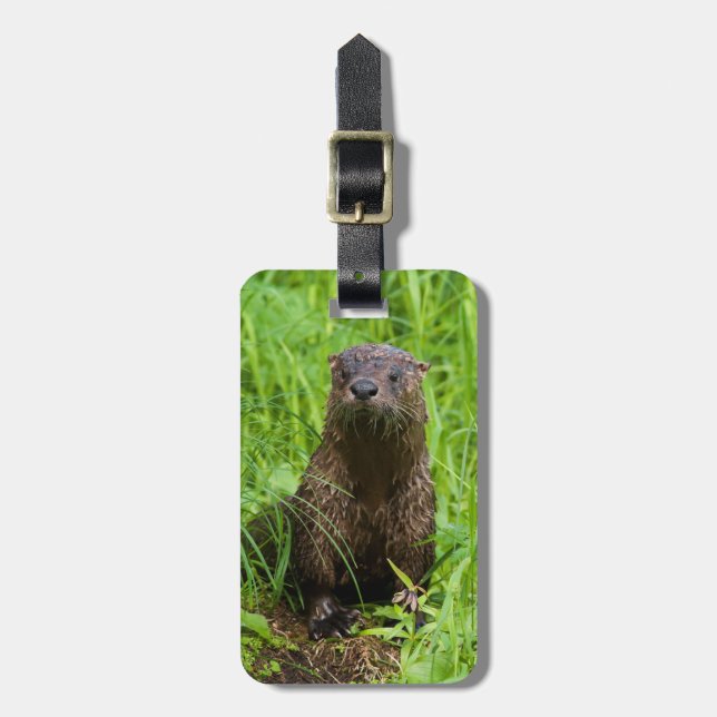 Étiquette À Bagage Otter (Devant Vertical)