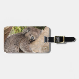 Étiquette À Bagage Ours de koala mignon se reposant sur un arbre