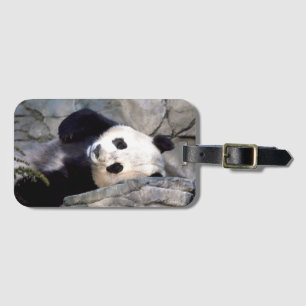 Étiquette À Bagage Ours panda
