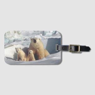 Étiquette À Bagage Ours polaires