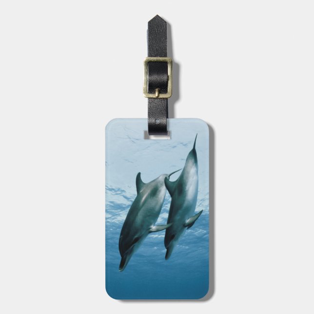 Étiquette À Bagage Paire de dauphins (Devant Vertical)