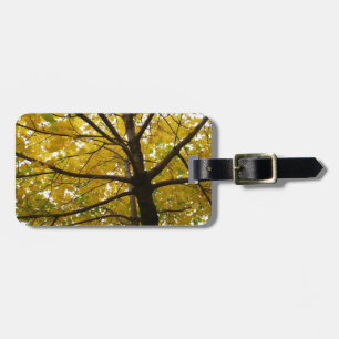 Étiquette À Bagage Paire d'érables jaunes Nature d'automne