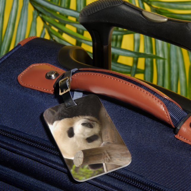 Étiquette À Bagage PandaSD010 (Insitu Rectoal 1)