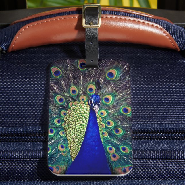 Étiquette À Bagage Paon bleu cobalt (Insitu Rectoal 2)