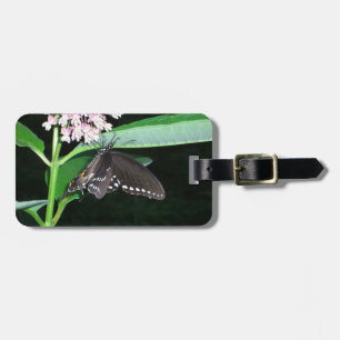Étiquette À Bagage Papillon de nuit noir Swallowtail à Shenandoah
