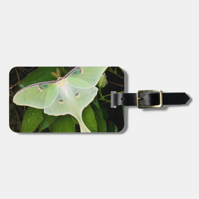 Étiquette À Bagage Papillon luna sur clématite de Carnaby (Devant horizontal)