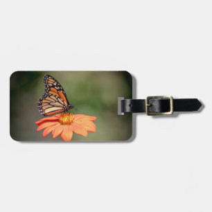 Étiquette À Bagage Papillon Monarque sur une fleur d'orange