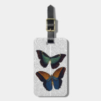 Papillons 5
