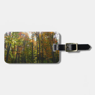 Étiquette À Bagage Paysage d'automne de forêt ensoleillée