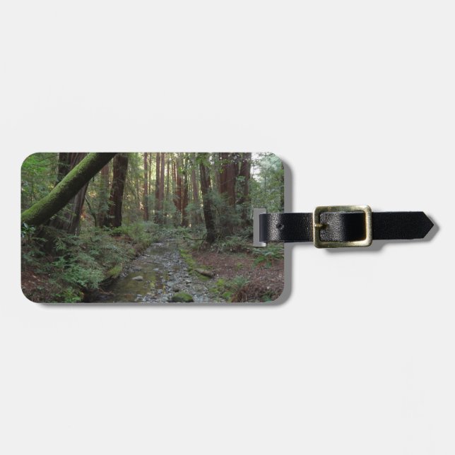 Étiquette À Bagage Paysage forestier du ruisseau de Muir Woods (Devant horizontal)