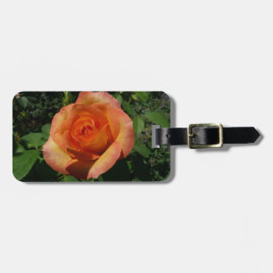 Étiquette À Bagage Peach Rose Orange Floral Photographie
