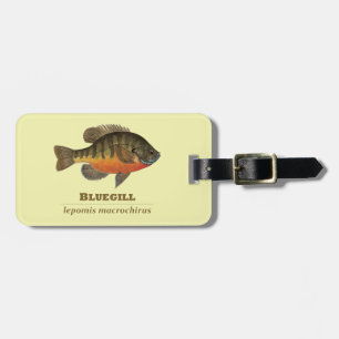 Étiquette À Bagage Pêche à la Breve de Bluegill