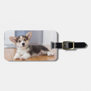 Étiquette À Bagage Pembroke Welsh Corgi Puppy