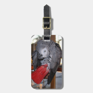 Étiquette À Bagage Perroquet flexible de gris africain du Congo avec