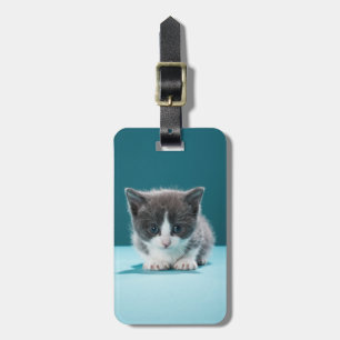 Étiquette À Bagage Petit chaton