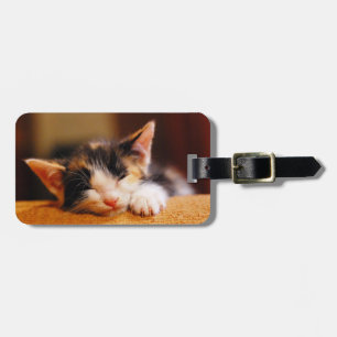 Étiquette À Bagage Petit Kitty qui dort