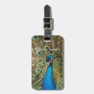 Étiquette À Bagage Photo de beau paon avec les plumes écartées