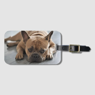 Étiquette À Bagage Photo de chien personnalisé