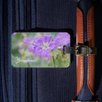 Photo de fleur sauvage de géranium pourpre avec in