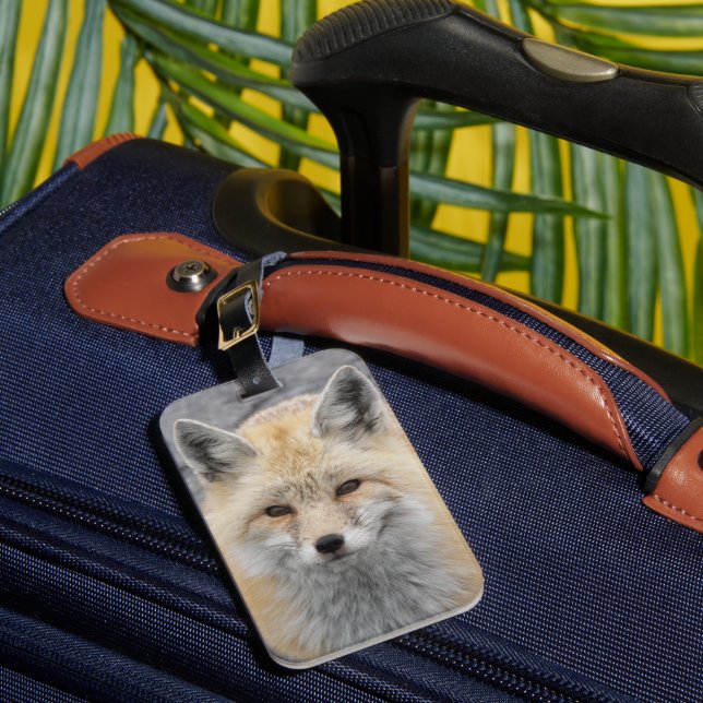 Étiquette À Bagage Photo de la faune de Red Fox (Insitu Rectoal 1)