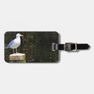Étiquette À Bagage Photo de mouette côtière et de faune océanique