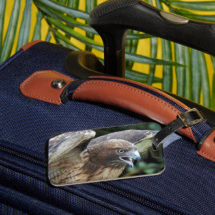 Étiquette À Bagage Photo Raptor Hawk à queue rouge