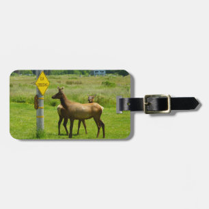 Étiquette À Bagage Photographie de faune sauvage en Californie : Trav