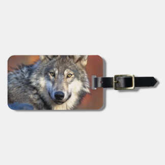 Étiquette À Bagage Photographie de loup