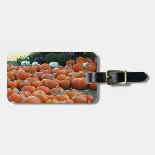 Étiquette À Bagage Photographie de récolte d'automne des citrouilles