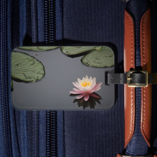 Étiquette À Bagage Photos Pink Water Lily (Insitu Rectoal 4)