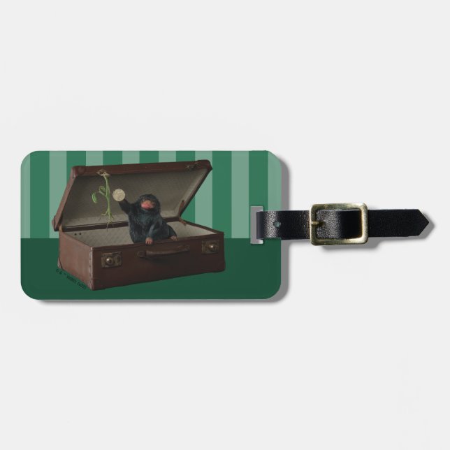 Étiquette À Bagage Pickett & Teddy in Briefcase (Devant horizontal)