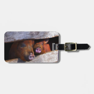 Étiquette À Bagage Piggies d'observation de la paire de stylo