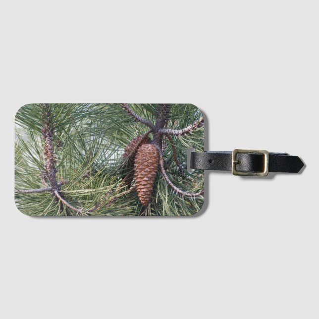 Étiquette À Bagage Pinecone sur le pin (Devant Horizontal)