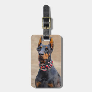 Étiquette À Bagage Pinscher noir et tan Doberman en col à bijoux