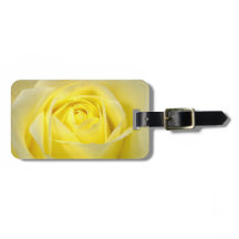 Plan rapproché de rose jaune