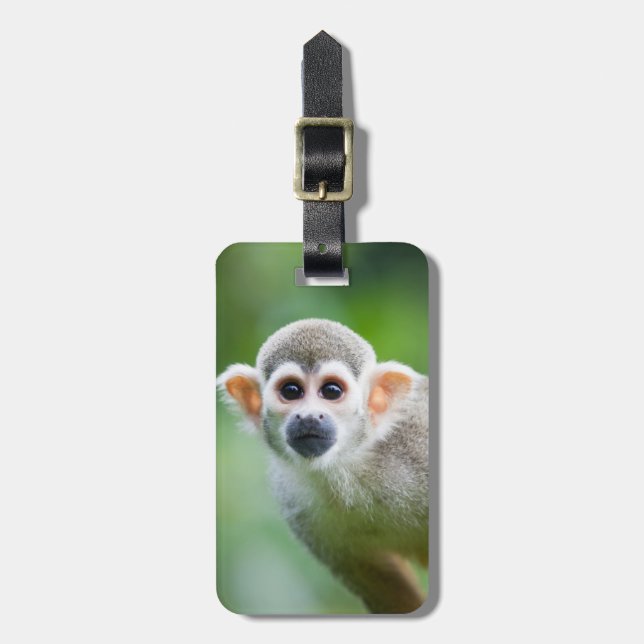 Étiquette À Bagage Plan rapproché d'un singe-écureuil commun (Devant Vertical)
