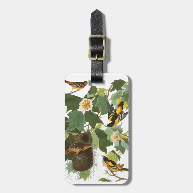 Étiquette À Bagage Plat 12 Baltimore Oriole d'Audubon (Devant Vertical)