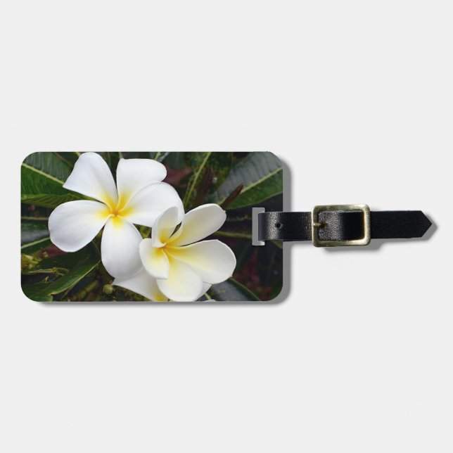Étiquette À Bagage Plumeria Fleurs tropicales (Devant horizontal)