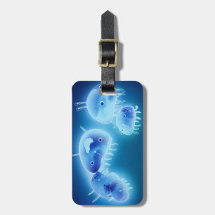 Étiquette À Bagage Poisson gelé 2013