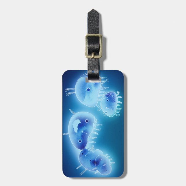 Étiquette À Bagage Poisson gelé 2013 (Devant Vertical)