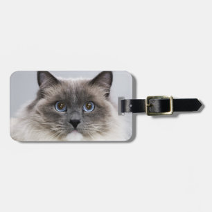 Étiquette À Bagage Portrait de chat de Ragdoll