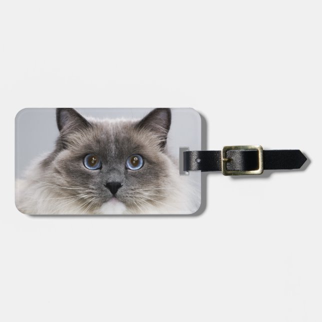 Étiquette À Bagage Portrait de chat de Ragdoll (Devant horizontal)