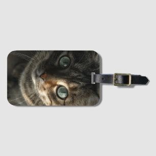 Étiquette À Bagage Portrait de chat gris fantaisiste sur toile