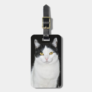 Étiquette À Bagage Portrait de chat noir et blanc