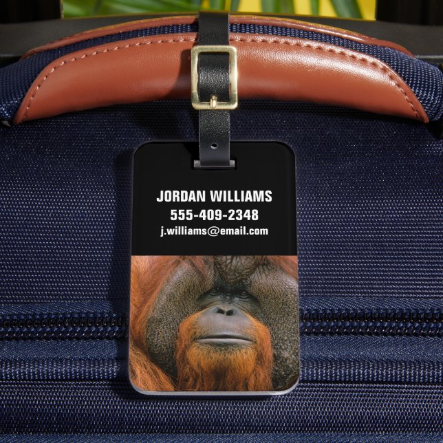 Étiquette À Bagage Portrait de mâle orang-outan, Géorgie, États-Unis (Insitu Rectoal 2)