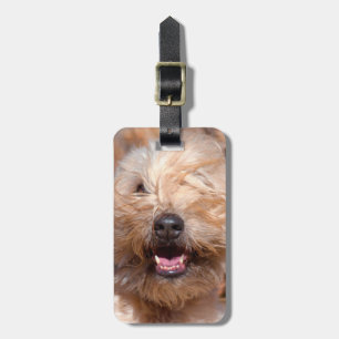 Étiquette À Bagage Portrait de Soft Coated Wheaten Terrier
