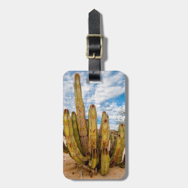 Étiquette À Bagage Portrait de vieux cactus, Mexique (Devant Vertical)